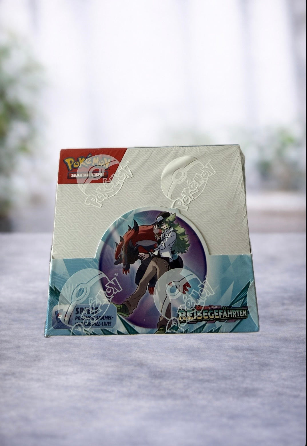 Pokemon Karmesin Purpur Reisegefährten Booster Display